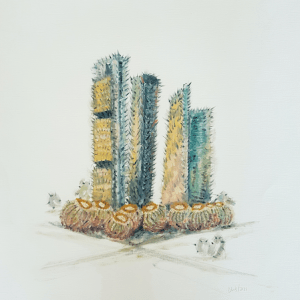 The four towers