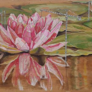 Water lily