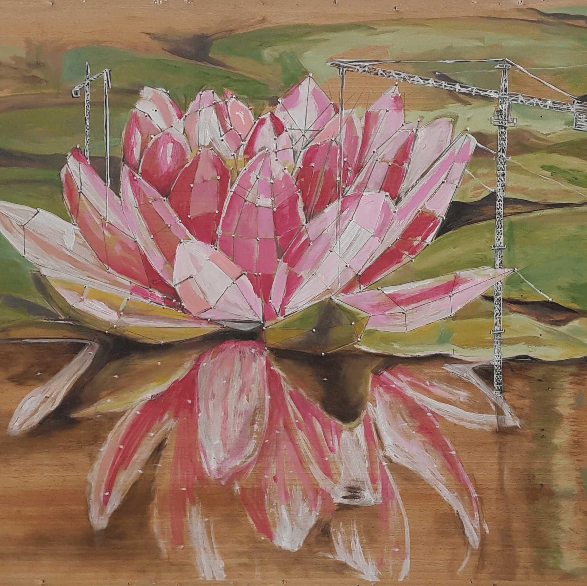 Water lily - Image 3