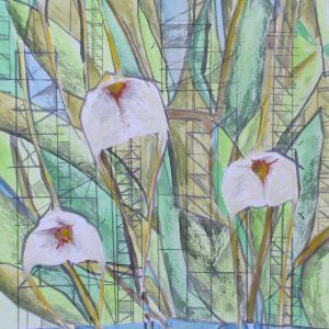 Isaura (The subtle cities 1)