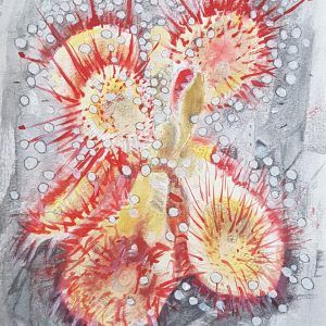 Drosera #1