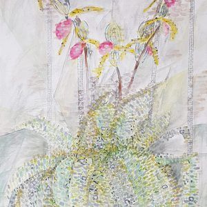 Orchid # 8