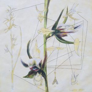 Connecting threads #1